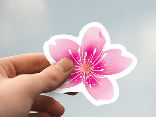 5-Point Pink Flower