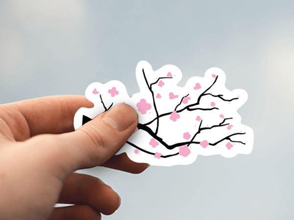 Cherry Blossom Flowers