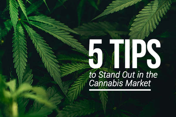 5 Tips to Stand Out in the Cannabis Market