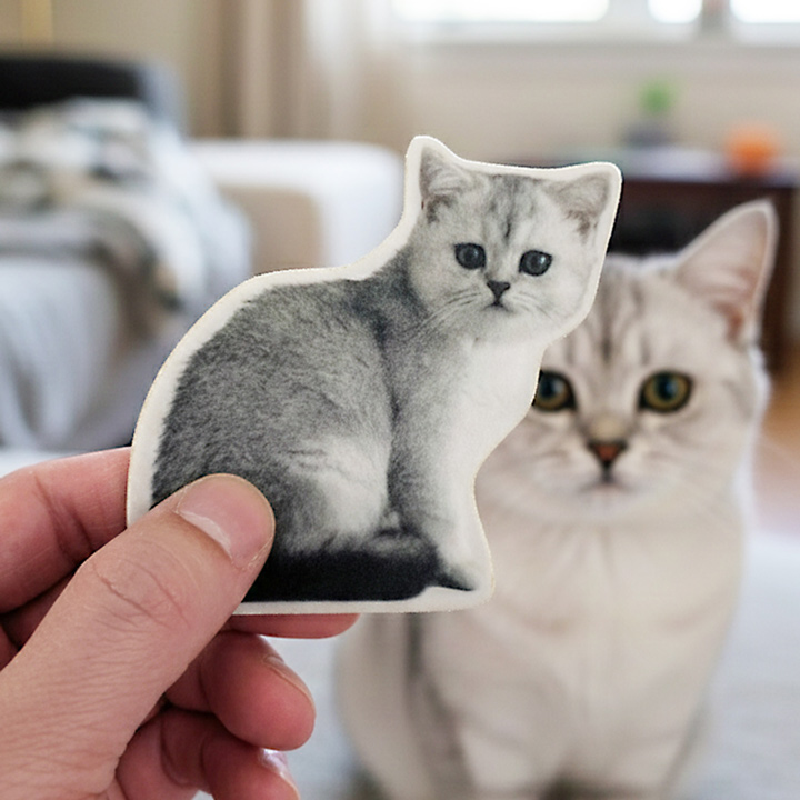 Fuzzy Sticker Pet Sticker