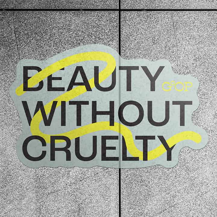 Indoor Wall Decals for Rough Surfaces