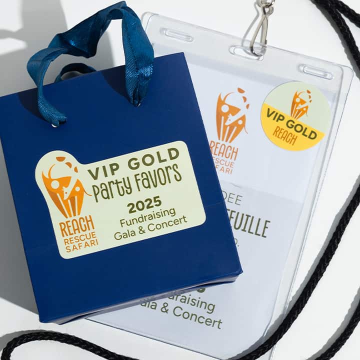 Paper roll labels for events