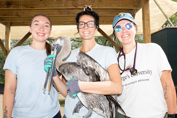 Customer Spotlight: Florida Keys Wild Bird Center